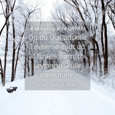 Picture 04 - 4 Mosebog 8:14 DA1871 - Og du skal udskille Leviterne midt ud af Israels - Bible Verse Picture