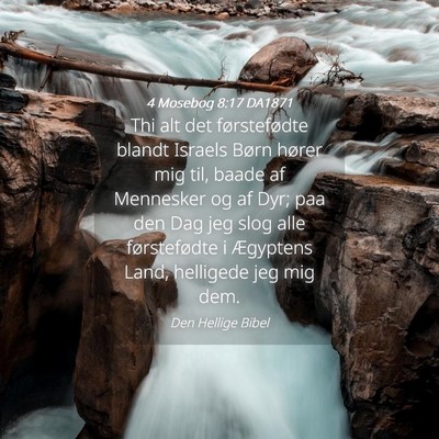 Picture 04 - 4 Mosebog 8:17 DA1871 - Thi alt det førstefødte blandt Israels Børn - Bible Verse Picture