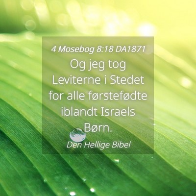 Picture 04 - 4 Mosebog 8:18 DA1871 - Og jeg tog Leviterne i Stedet for alle - Bible Verse Picture