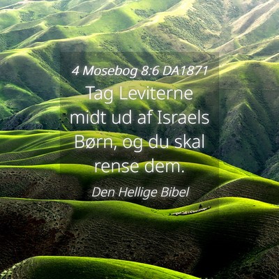 Picture 04 - 4 Mosebog 8:6 DA1871 - Tag Leviterne midt ud af Israels Børn, og du - Bible Verse Picture