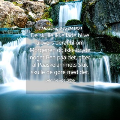 Picture 04 - 4 Mosebog 9:12 DA1871 - De skulle ikke lade blive tilovers deraf til om - Bible Verse Picture