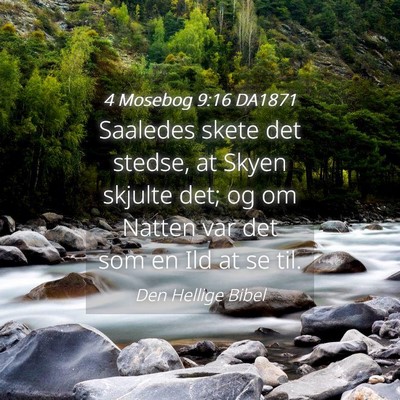 Picture 04 - 4 Mosebog 9:16 DA1871 - Saaledes skete det stedse, at Skyen skjulte det; - Bible Verse Picture