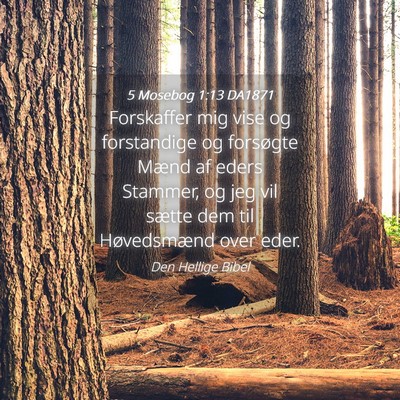 Picture 04 - 5 Mosebog 1:13 DA1871 - Forskaffer mig vise og forstandige og forsøgte - Bible Verse Picture