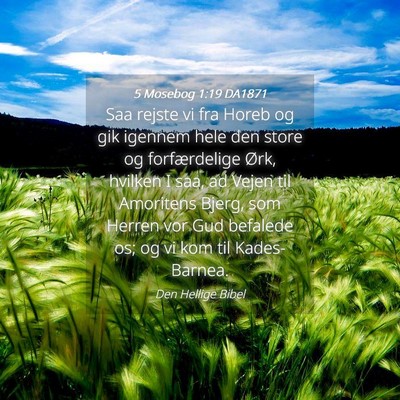 Picture 04 - 5 Mosebog 1:19 DA1871 - Saa rejste vi fra Horeb og gik igennem hele den - Bible Verse Picture