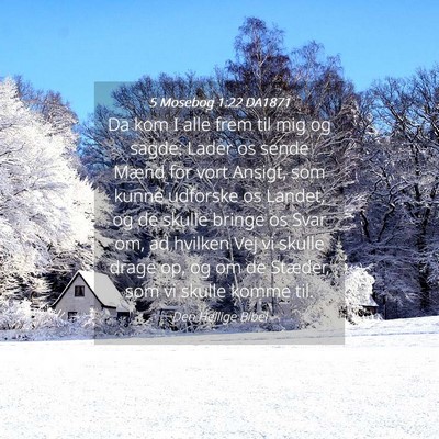 Picture 04 - 5 Mosebog 1:22 DA1871 - Da kom I alle frem til mig og sagde: Lader os - Bible Verse Picture