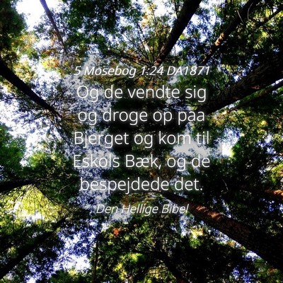 Picture 04 - 5 Mosebog 1:24 DA1871 - Og de vendte sig og droge op paa Bjerget og kom - Bible Verse Picture