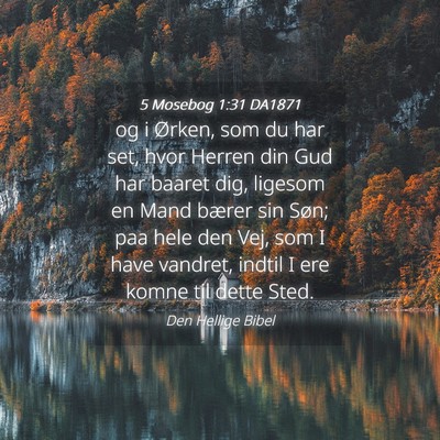 Picture 04 - 5 Mosebog 1:31 DA1871 - og i Ørken, som du har set, hvor Herren din Gud - Bible Verse Picture