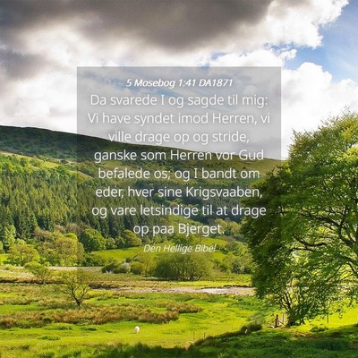 Picture 04 - 5 Mosebog 1:41 DA1871 - Da svarede I og sagde til mig: Vi have syndet - Bible Verse Picture