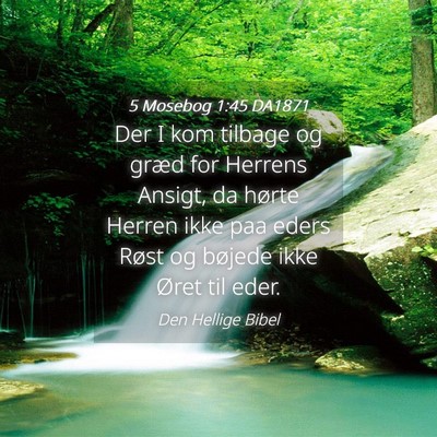Picture 04 - 5 Mosebog 1:45 DA1871 - Der I kom tilbage og græd for Herrens Ansigt, da - Bible Verse Picture