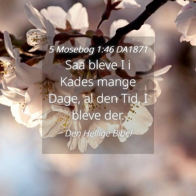 Picture 04 - 5 Mosebog 1:46 DA1871 - Saa bleve I i Kades mange Dage, al den Tid, I - Bible Verse Picture