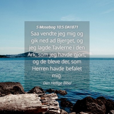Picture 04 - 5 Mosebog 10:5 DA1871 - Saa vendte jeg mig og gik ned ad Bjerget, og jeg - Bible Verse Picture
