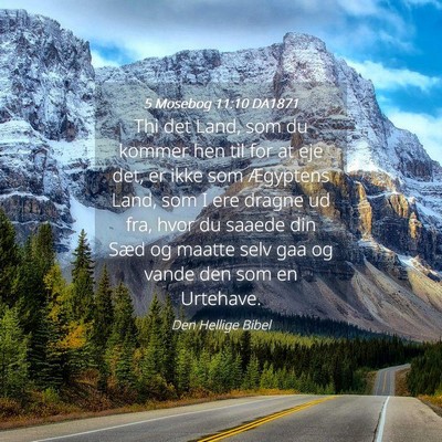 Picture 04 - 5 Mosebog 11:10 DA1871 - Thi det Land, som du kommer hen til for at eje - Bible Verse Picture