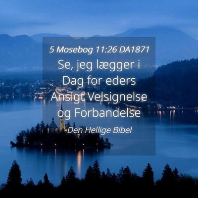Picture 04 - 5 Mosebog 11:26 DA1871 - Se, jeg lægger i Dag for eders Ansigt - Bible Verse Picture
