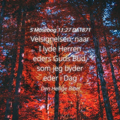 Picture 04 - 5 Mosebog 11:27 DA1871 - Velsignelsen, naar I lyde Herren eders Guds Bud, - Bible Verse Picture