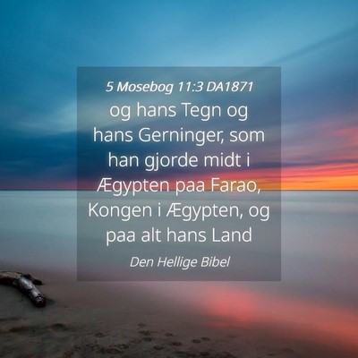 Picture 04 - 5 Mosebog 11:3 DA1871 - og hans Tegn og hans Gerninger, som han gjorde - Bible Verse Picture
