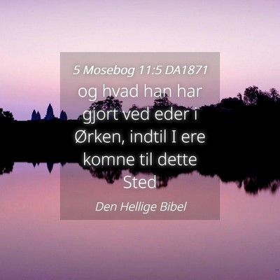 Picture 04 - 5 Mosebog 11:5 DA1871 - og hvad han har gjort ved eder i Ørken, indtil I - Bible Verse Picture