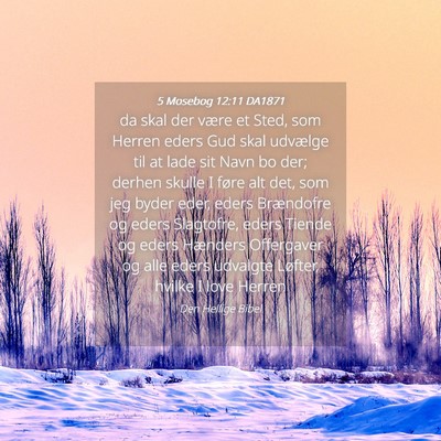 Picture 04 - 5 Mosebog 12:11 DA1871 - da skal der være et Sted, som Herren eders Gud - Bible Verse Picture