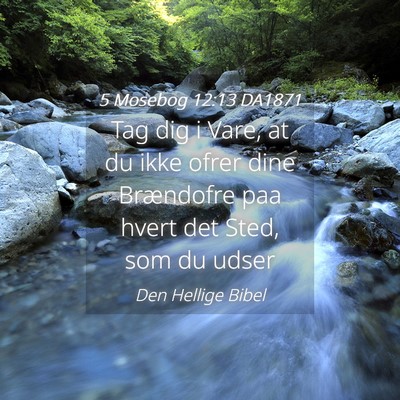 Picture 04 - 5 Mosebog 12:13 DA1871 - Tag dig i Vare, at du ikke ofrer dine Brændofre - Bible Verse Picture