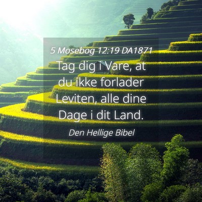 Picture 04 - 5 Mosebog 12:19 DA1871 - Tag dig i Vare, at du ikke forlader Leviten, alle - Bible Verse Picture
