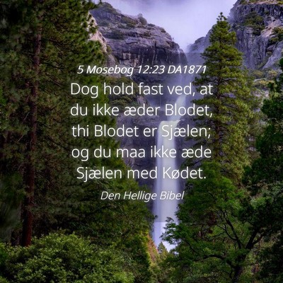 Picture 04 - 5 Mosebog 12:23 DA1871 - Dog hold fast ved, at du ikke æder Blodet, thi - Bible Verse Picture