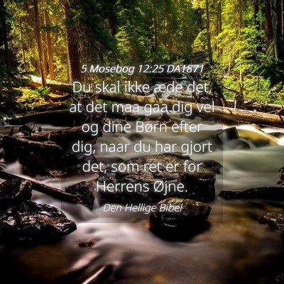 Picture 04 - 5 Mosebog 12:25 DA1871 - Du skal ikke æde det, at det maa gaa dig vel og - Bible Verse Picture