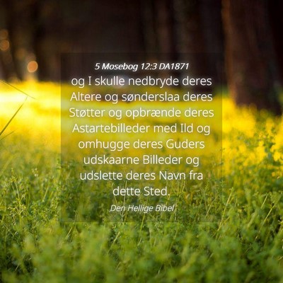 Picture 04 - 5 Mosebog 12:3 DA1871 - og I skulle nedbryde deres Altere og sønderslaa - Bible Verse Picture