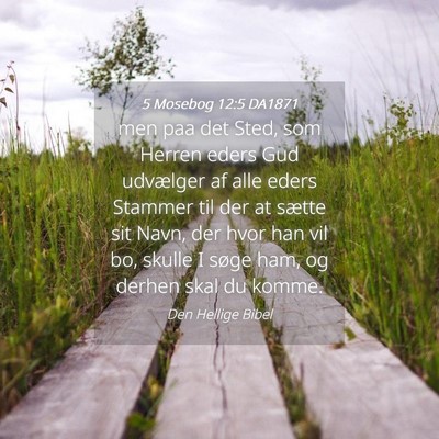 Picture 04 - 5 Mosebog 12:5 DA1871 - men paa det Sted, som Herren eders Gud udvælger - Bible Verse Picture
