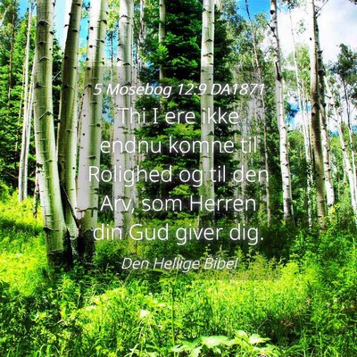 Picture 04 - 5 Mosebog 12:9 DA1871 - Thi I ere ikke endnu komne til Rolighed og til - Bible Verse Picture