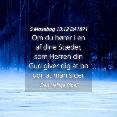Picture 04 - 5 Mosebog 13:12 DA1871 - Om du hører i en af dine Stæder, som Herren din - Bible Verse Picture