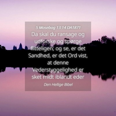 Picture 04 - 5 Mosebog 13:14 DA1871 - Da skal du ransage og udforske og spørge - Bible Verse Picture