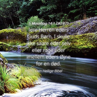Picture 04 - 5 Mosebog 14:1 DA1871 - Iere Herren eders Guds Børn, I skulle ikke saare - Bible Verse Picture