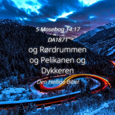Picture 04 - 5 Mosebog 14:17 DA1871 - og Rørdrummen og Pelikanen og - Bible Verse Picture