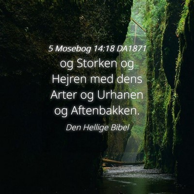 Picture 04 - 5 Mosebog 14:18 DA1871 - og Storken og Hejren med dens Arter og Urhanen og - Bible Verse Picture