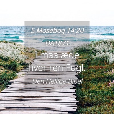 Picture 04 - 5 Mosebog 14:20 DA1871 - I maa æde hver ren - Bible Verse Picture