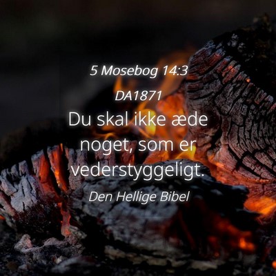 Picture 04 - 5 Mosebog 14:3 DA1871 - Du skal ikke æde noget, som er - Bible Verse Picture