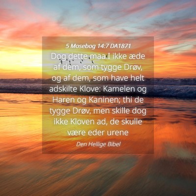 Picture 04 - 5 Mosebog 14:7 DA1871 - Dog dette maa I ikke æde af dem, som tygge - Bible Verse Picture