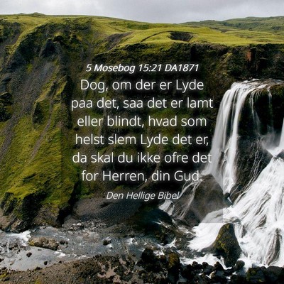 Picture 04 - 5 Mosebog 15:21 DA1871 - Dog, om der er Lyde paa det, saa det er lamt - Bible Verse Picture