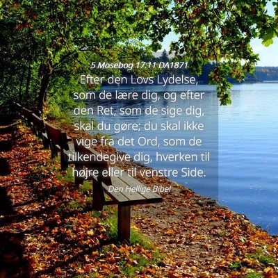 Picture 04 - 5 Mosebog 17:11 DA1871 - Efter den Lovs Lydelse, som de lære dig, og - Bible Verse Picture