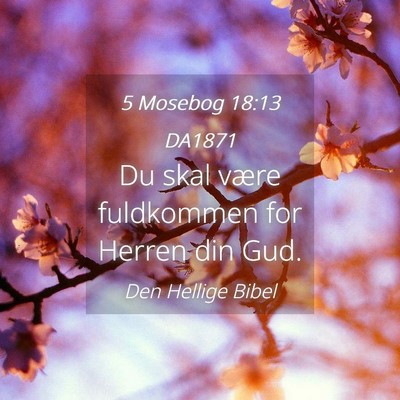 Picture 04 - 5 Mosebog 18:13 DA1871 - Du skal være fuldkommen for Herren din - Bible Verse Picture