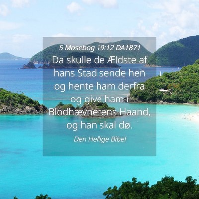 Picture 04 - 5 Mosebog 19:12 DA1871 - Da skulle de Ældste af hans Stad sende hen og - Bible Verse Picture