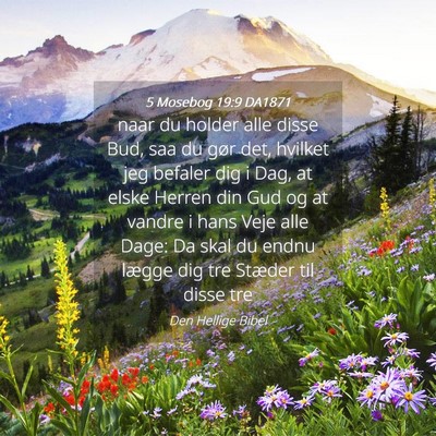 Picture 04 - 5 Mosebog 19:9 DA1871 - naar du holder alle disse Bud, saa du gør det, - Bible Verse Picture