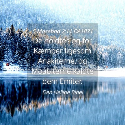 Picture 04 - 5 Mosebog 2:11 DA1871 - De holdtes og for Kæmper ligesom Anakiterne, og - Bible Verse Picture