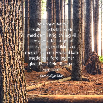 Picture 04 - 5 Mosebog 2:5 DA1871 - I skulle ikke befatte eder med dem i Krig; thi - Bible Verse Picture