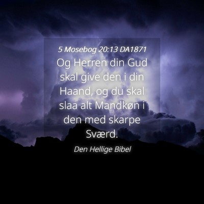 Picture 04 - 5 Mosebog 20:13 DA1871 - Og Herren din Gud skal give den i din Haand, og - Bible Verse Picture