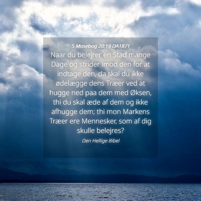 Picture 04 - 5 Mosebog 20:19 DA1871 - Naar du belejrer en Stad mange Dage og strider - Bible Verse Picture