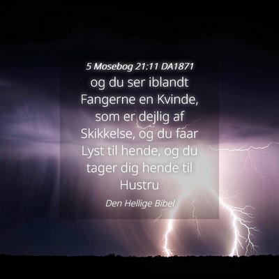 Picture 04 - 5 Mosebog 21:11 DA1871 - og du ser iblandt Fangerne en Kvinde, som er - Bible Verse Picture