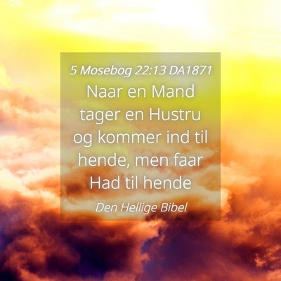 Picture 04 - 5 Mosebog 22:13 DA1871 - Naar en Mand tager en Hustru og kommer ind til - Bible Verse Picture