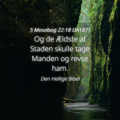 Picture 04 - 5 Mosebog 22:18 DA1871 - Og de Ældste af Staden skulle tage Manden og - Bible Verse Picture