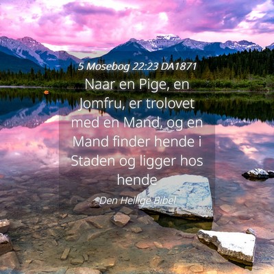 Picture 04 - 5 Mosebog 22:23 DA1871 - Naar en Pige, en Jomfru, er trolovet med en Mand, - Bible Verse Picture