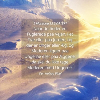 Picture 04 - 5 Mosebog 22:6 DA1871 - Naar du finder en Fuglerede paa Vejen, i et Træ - Bible Verse Picture